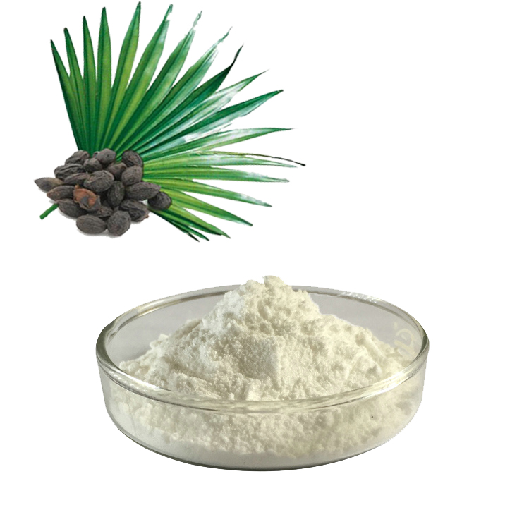 Čo je výťažok Saw Palmetto? A aký je prínos extraktu Saw Palmetto?